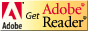 Adobe Reader ̖_E[h